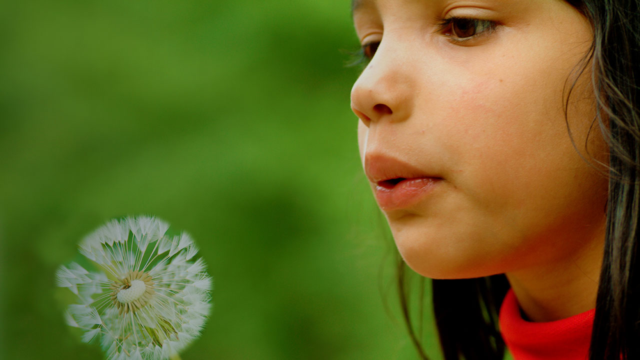 Mädchen mit Pusteblume für Contentverbreitung